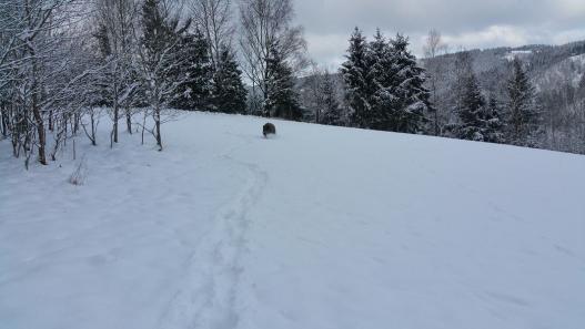 Ausblick aus der Ferien Wohnung Wallenfels